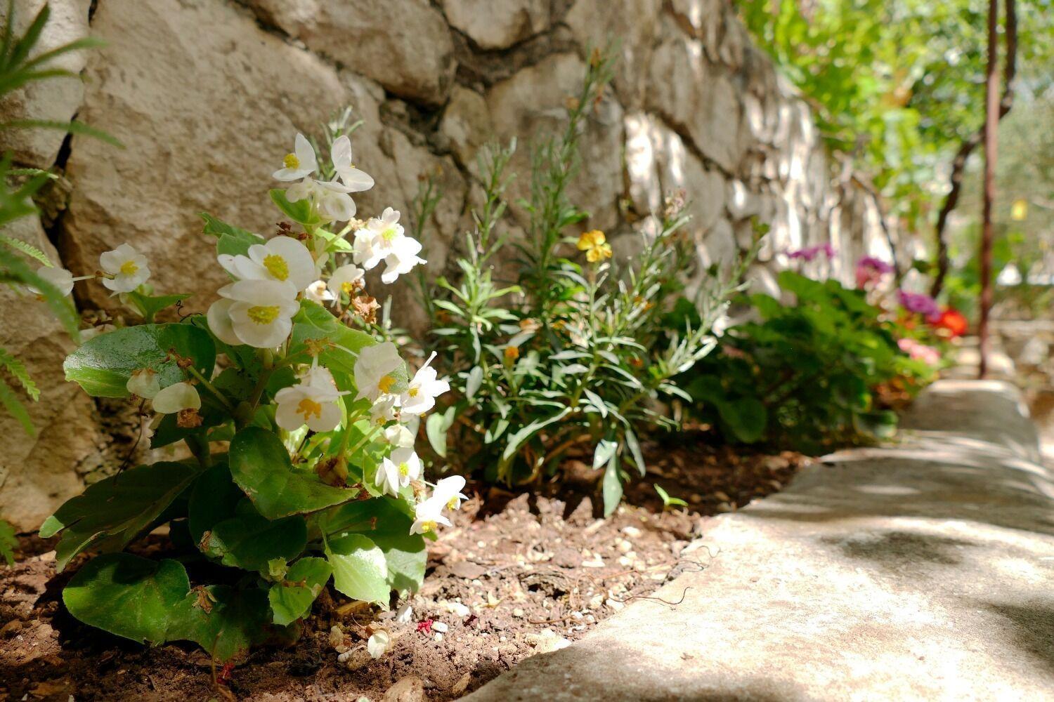 Apartment Milena Trogir Exterior photo